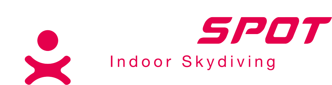 Flyspot Logo